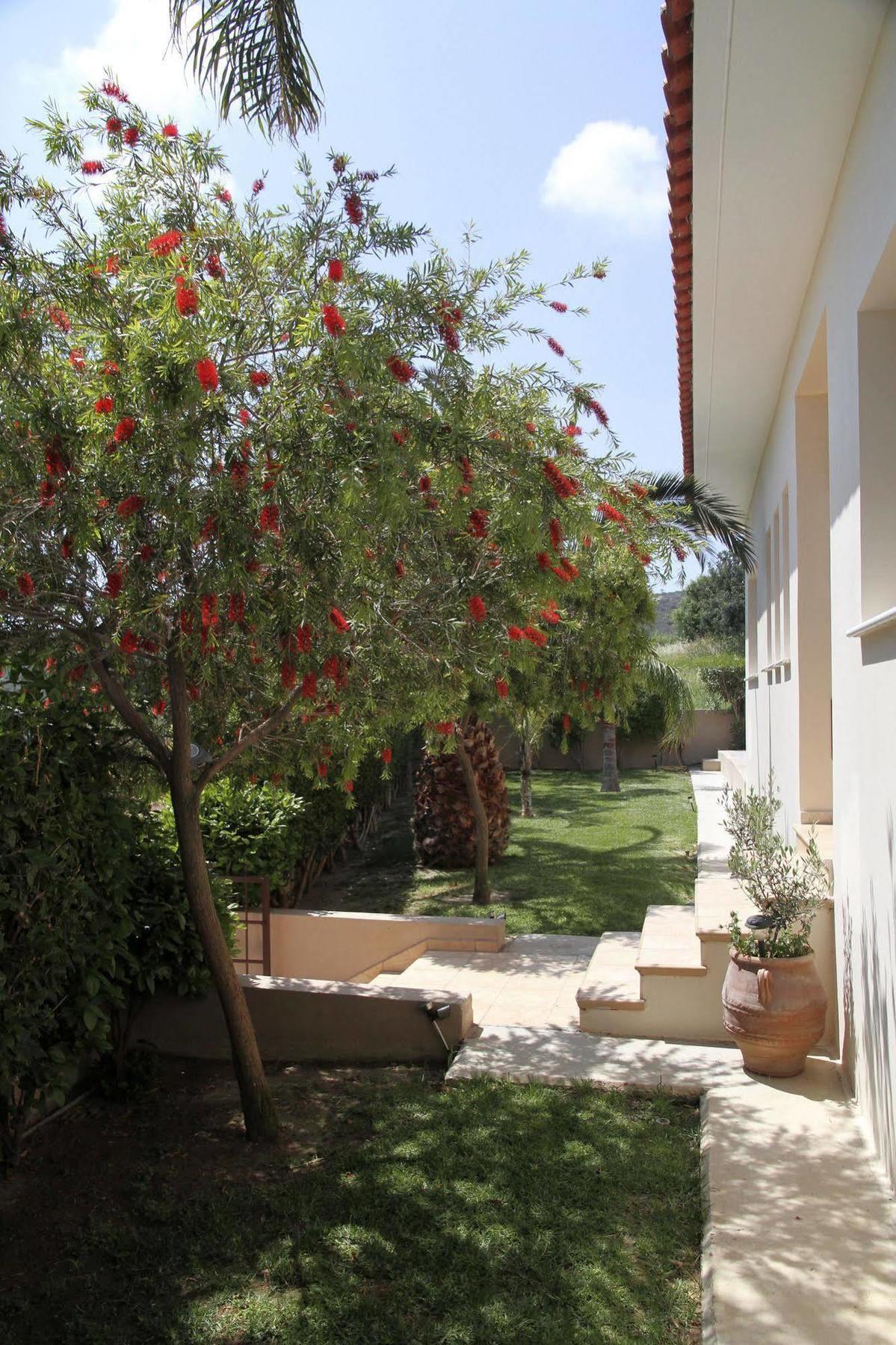 Eve Pissouri Xιnisteri Villa Kültér fotó