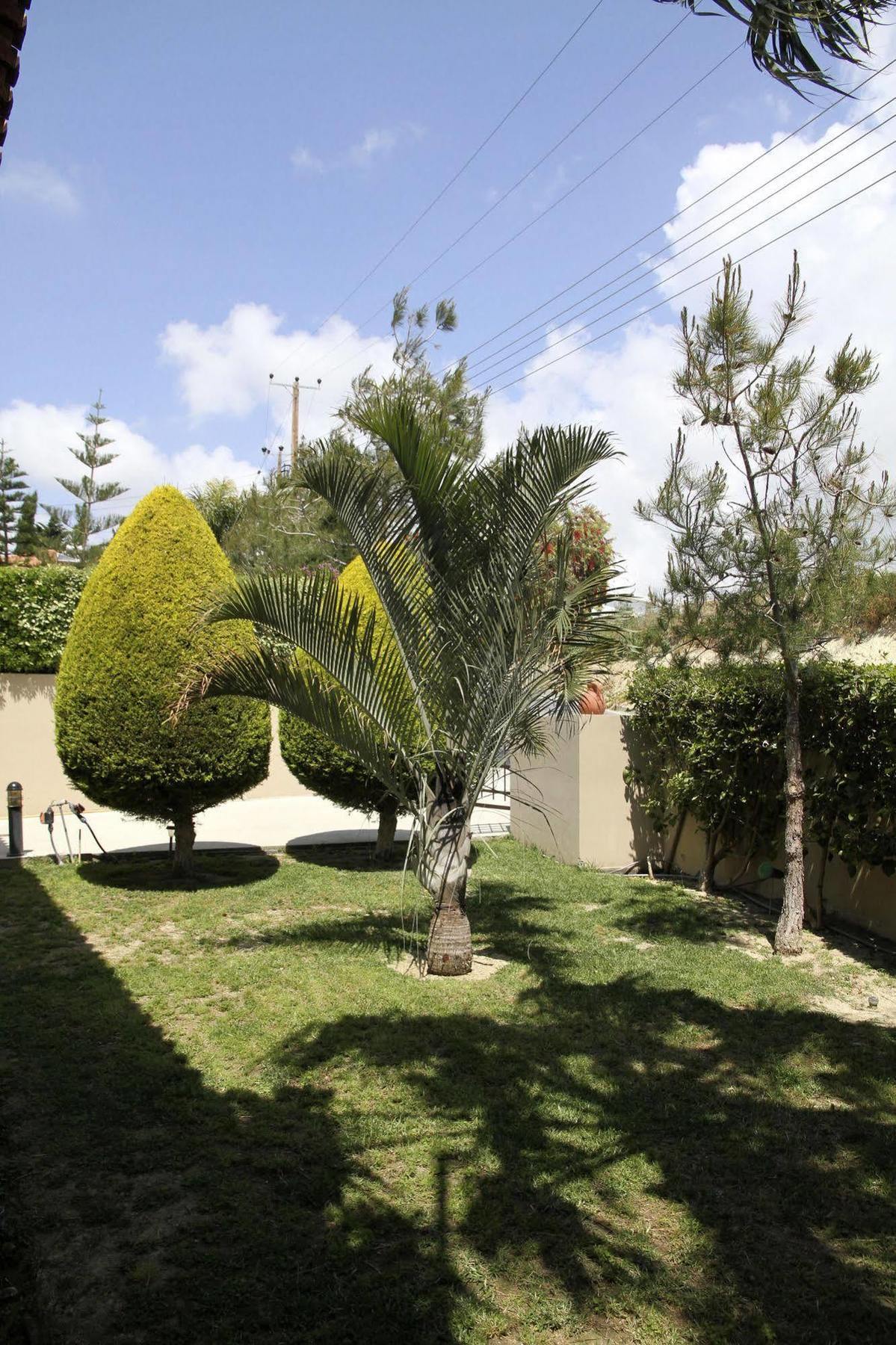 Eve Pissouri Xιnisteri Villa Kültér fotó